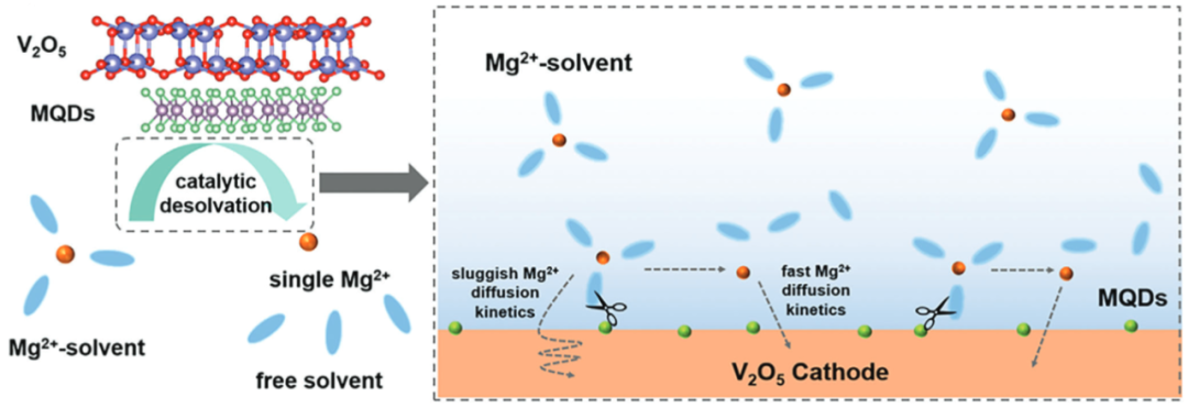 溶剂化与脱溶剂化：从能量路径到协同-拮抗效应，材料性能精准调控的全景指南