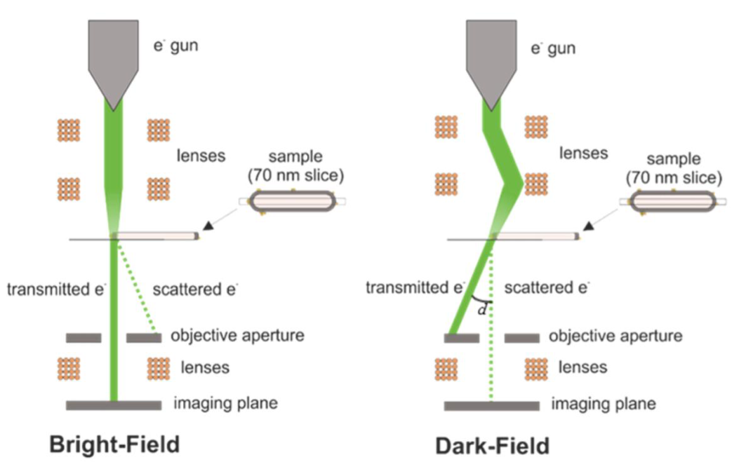 TEM三种常用成像技术对比：明场像（BF）、暗场像（DF）、高角环形暗场像（HAADF）的核心参数与应用实例
