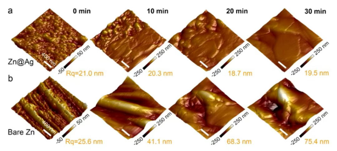 十大表征技术深度解读：SEM/AFM/TEM/XRD/BET/XPS与电化学性能测试全指南
