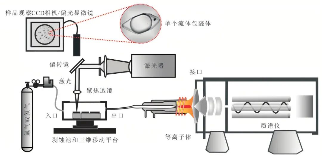电感耦合等离子体质谱（ICP-MS）的原理及应用