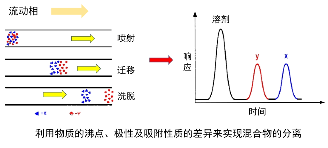 成分分析技术——气相色谱-质谱 GC-MS 联用（一）