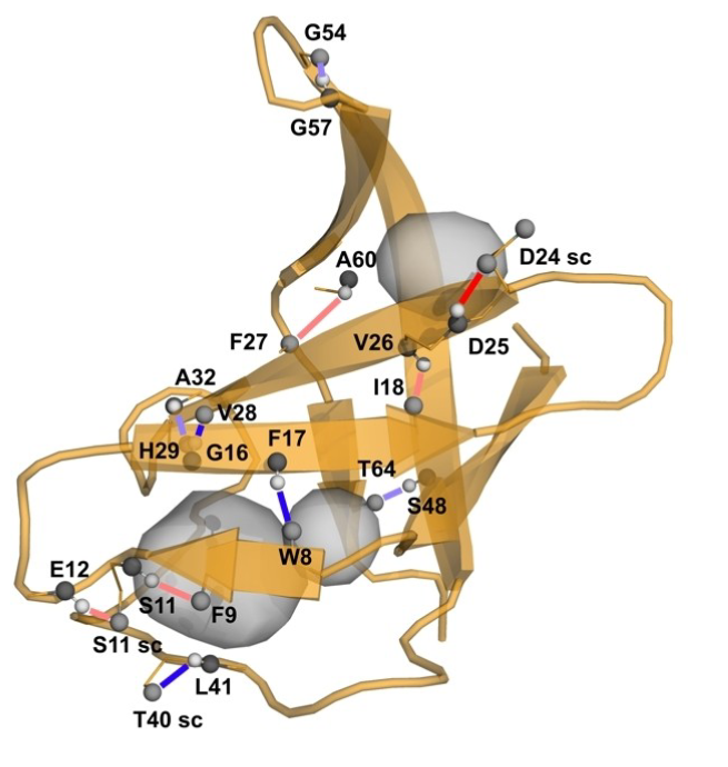 解析蛋白质结构的三大技术