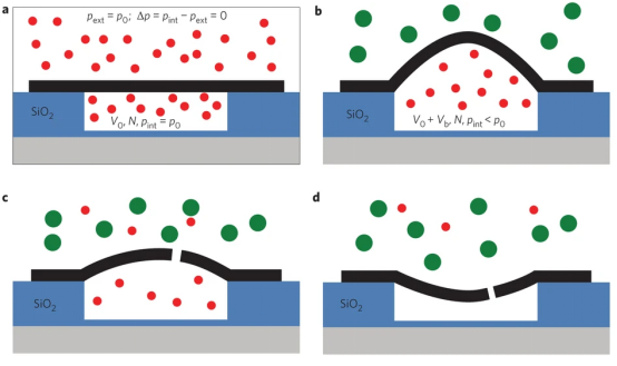 孔道限域效应：定义、核心机制及多领域应用实践
