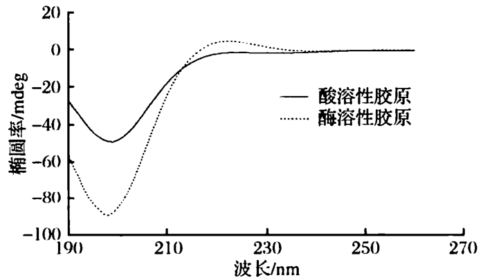 解锁分子结构密码：圆二色谱法的分析应用