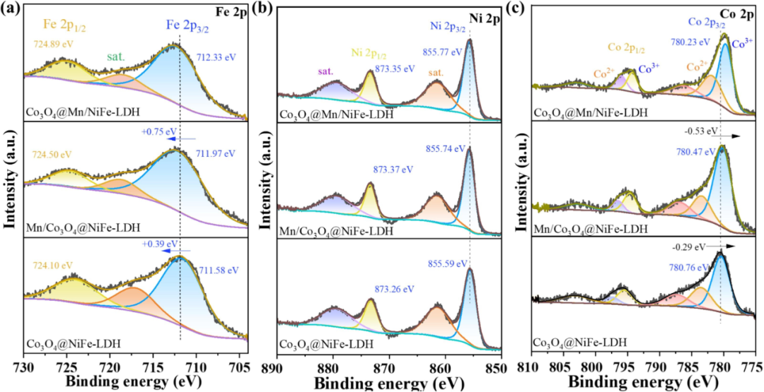 内建电场赋能多反应体系：形成机制、表征方法及应用解析