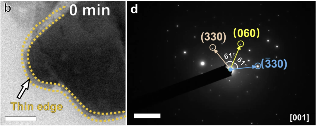非晶材料表征与分析：理论、技术与催化应用基础