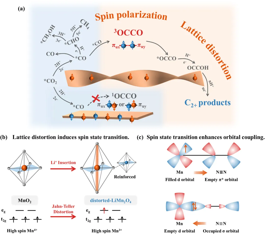 催化材料中的晶格畸变与晶格应变：核心概念、调控机制及应用