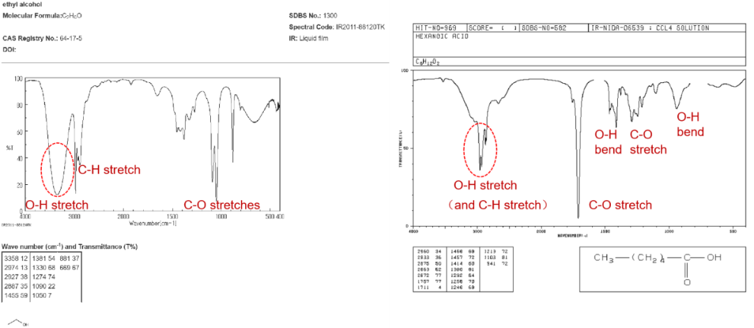 氢键如何影响化学性质？基于热力学稳定性与动力学活性的综合分析