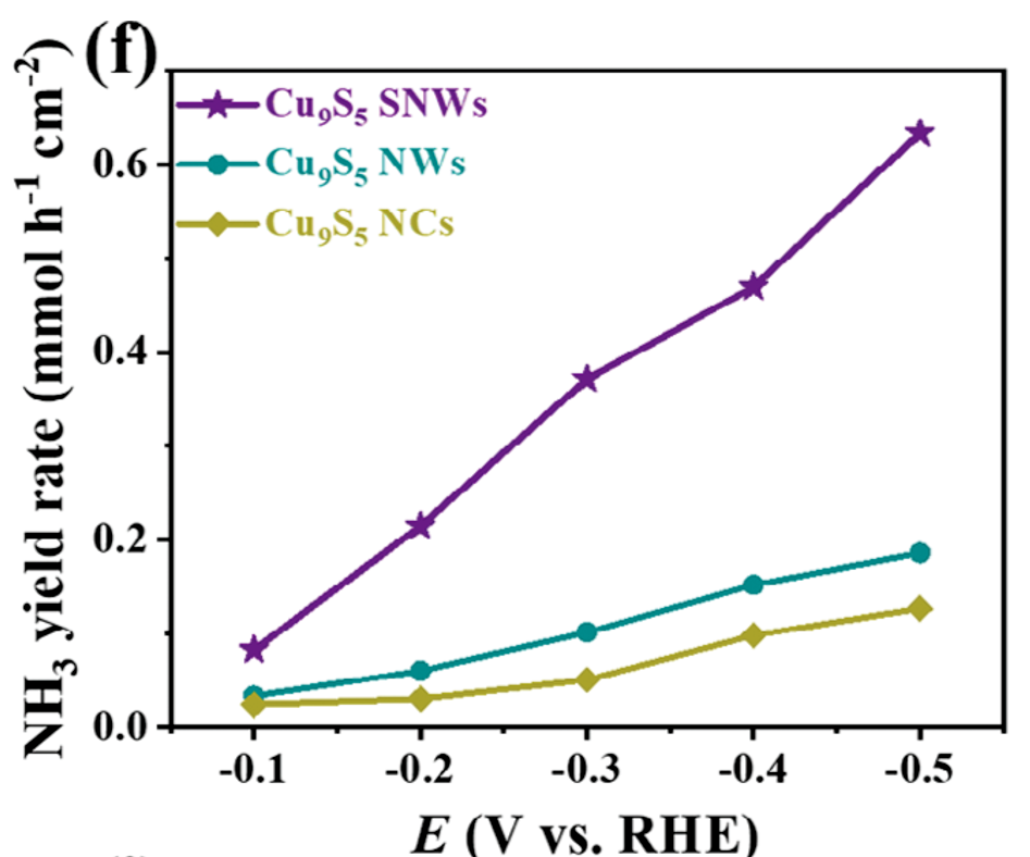 活性位点：定义、公式与表征方法全解析
