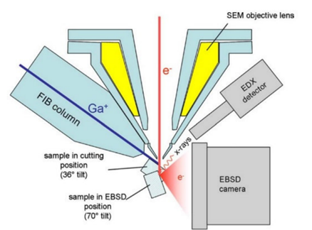 告别 “表面观察”！3D-EBSD 带您探索材料内部晶粒结构与取向演化