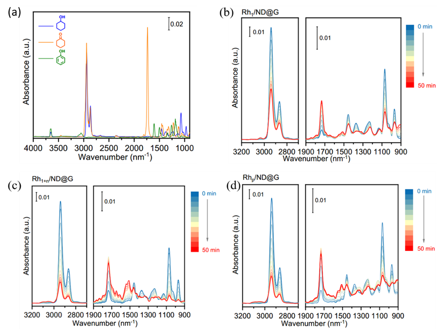 原位测试之原位红外、原位拉曼