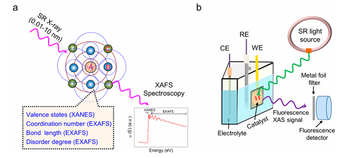 同步辐射光谱技术揭示氧电催化固液界面动态过程：结构演化与中间体追踪