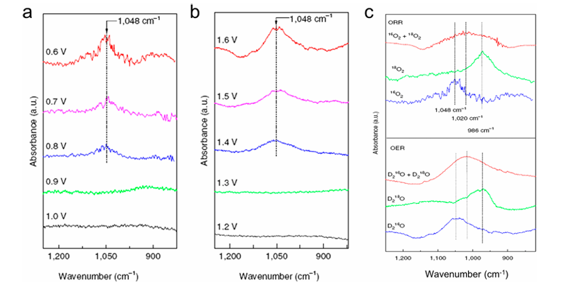 同步辐射光谱技术揭示氧电催化固液界面动态过程：结构演化与中间体追踪