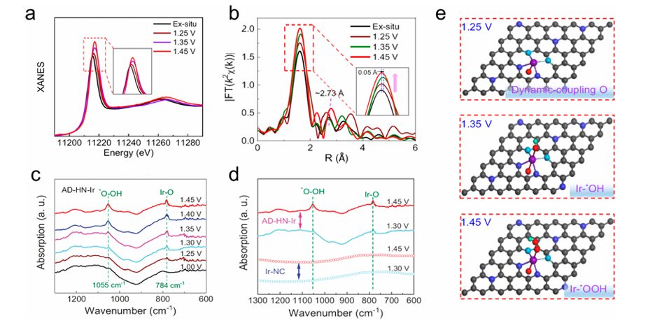 同步辐射光谱技术揭示氧电催化固液界面动态过程：结构演化与中间体追踪