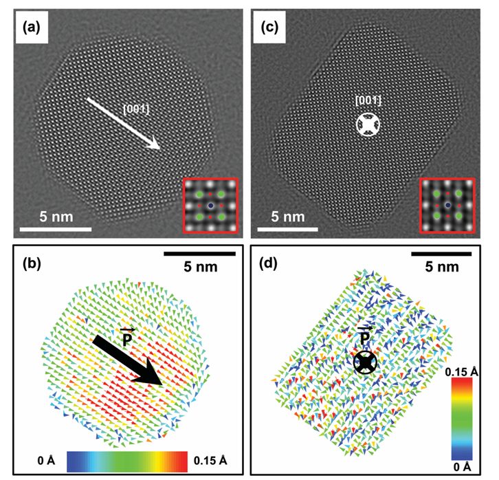 利用透射电子显微镜解析钙钛矿材料的物理与化学：技术与应用进展