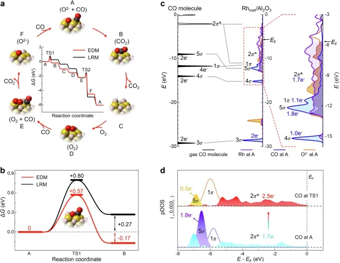 催化活性位点的多维探析：结构特征、反应机理与动力学