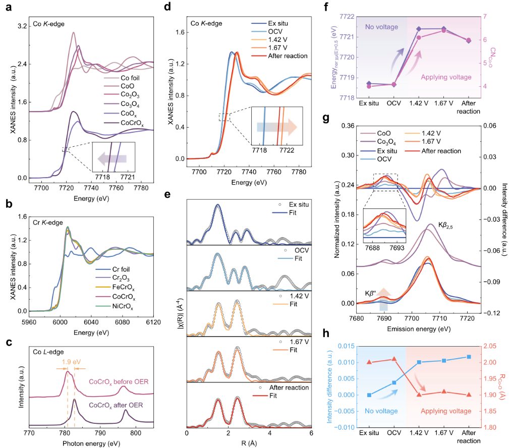 催化活性位点的多维探析：结构特征、反应机理与动力学