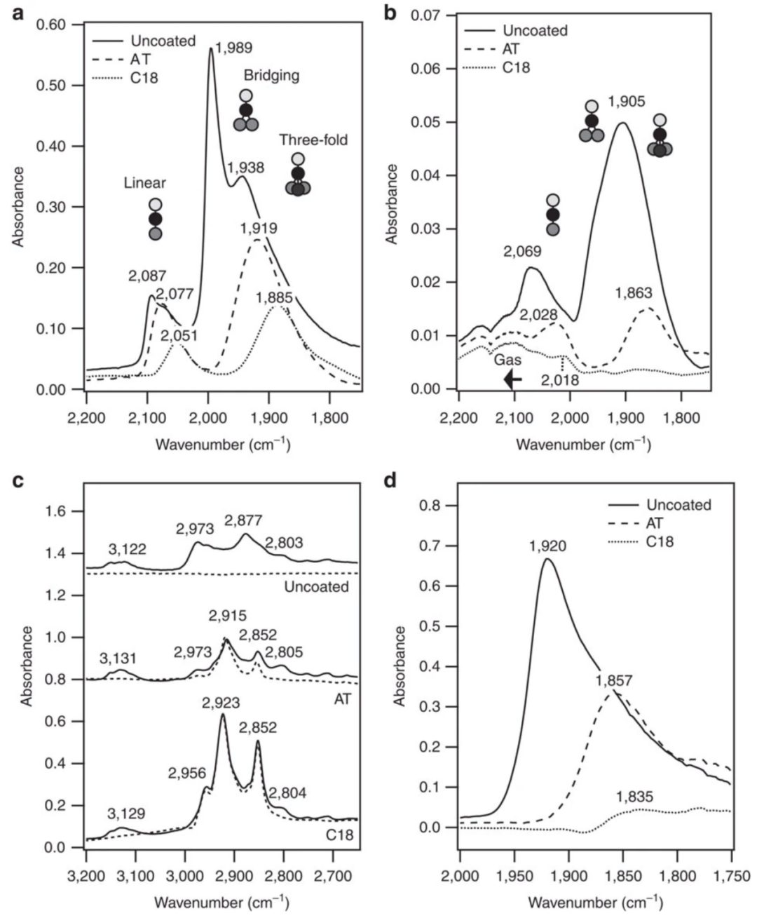 催化活性位点的多维探析：结构特征、反应机理与动力学