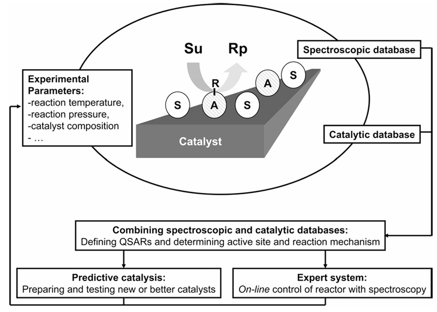 催化活性位点的多维探析：结构特征、反应机理与动力学