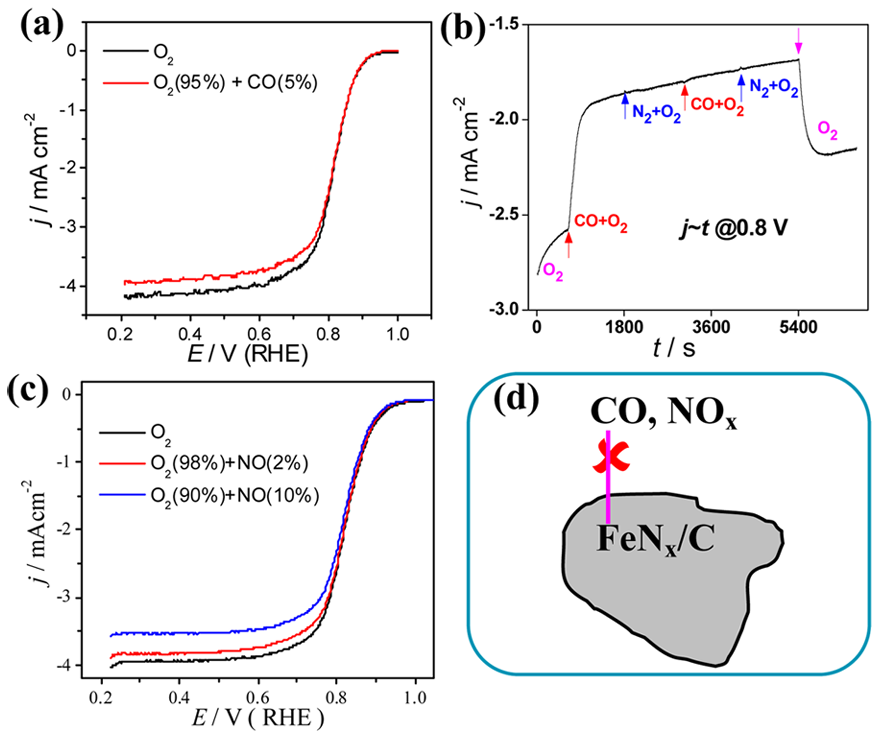 催化活性位点的多维探析：结构特征、反应机理与动力学