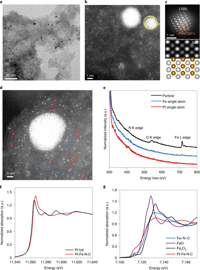 同步辐射XAS如何表征单原子？