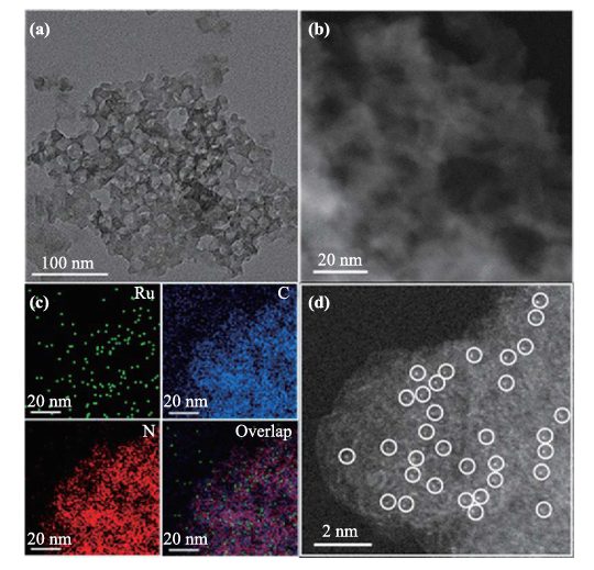 石墨相氮化碳（g-C₃N₄）基单原子光催化剂的精准表征技术与结构解析