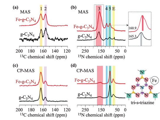 石墨相氮化碳（g-C₃N₄）基单原子光催化剂的精准表征技术与结构解析