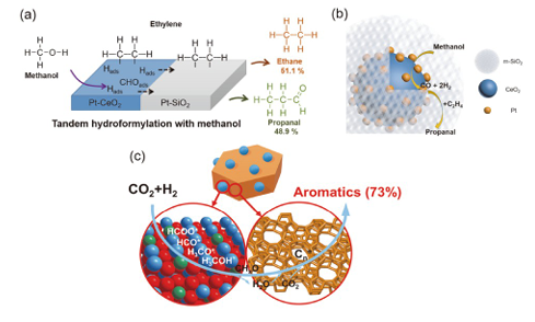 多功能单原子催化剂的构建策略与多步反应催化机制