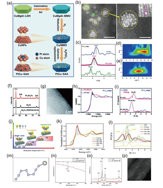 多功能单原子催化剂的构建策略与多步反应催化机制