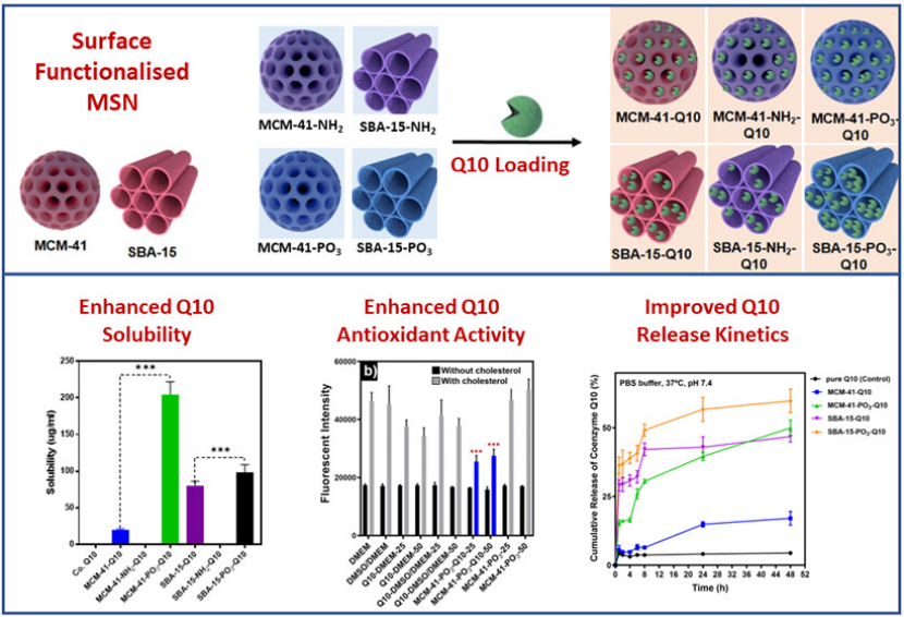 从限域效应到限域催化：催化化学与材料科学交叉领域的核心机制与技术突破