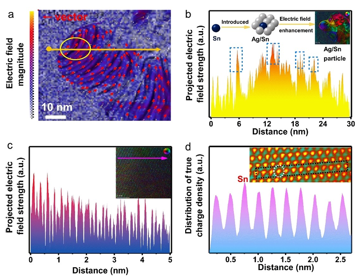 内建电场构建策略：异质结、空位、掺杂与非晶化