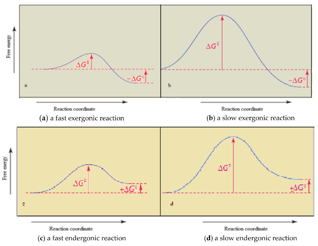 什么是活化能、能垒？概念、计算方法及宏观—微观差异全解析