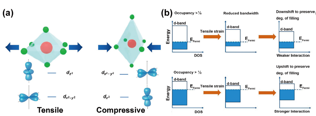 电催化中轨道杂化的精准调控：从电子结构到配位环境的多维度策略