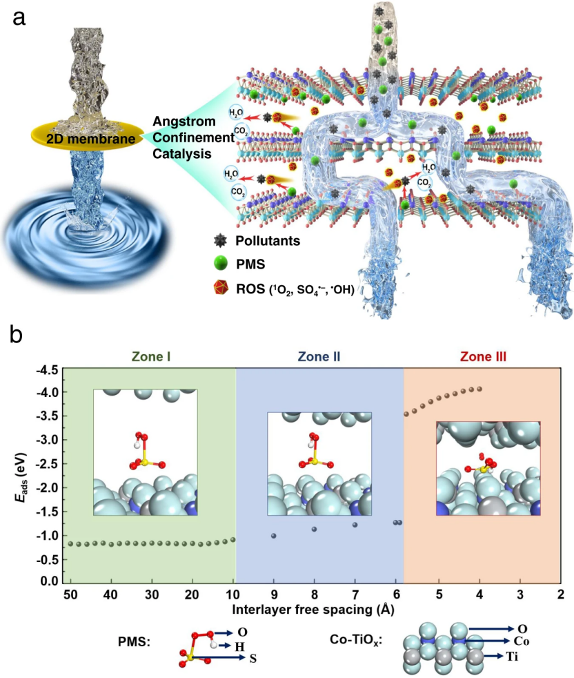 从限域效应到限域催化：催化化学与材料科学交叉领域的核心机制与技术突破
