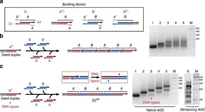 声子：凝聚态物理的 “振动量子”，从基础概念到核心特性解析