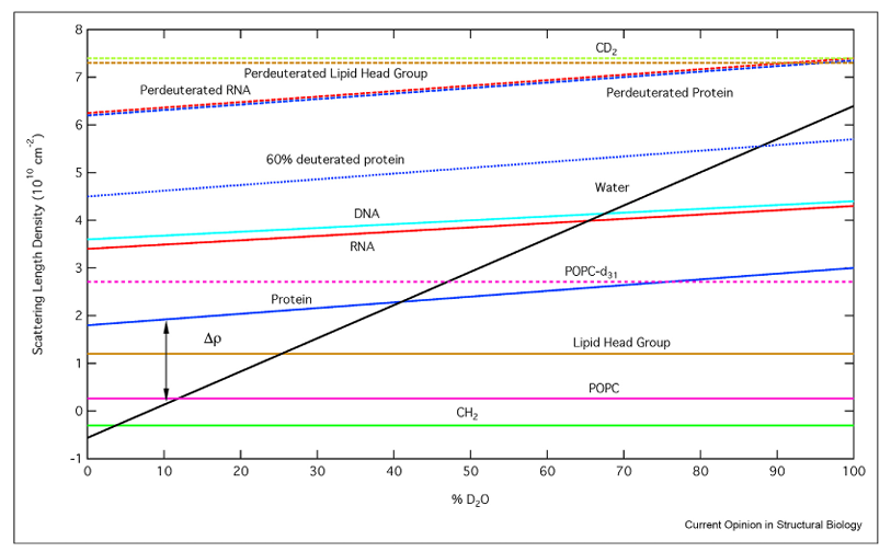 溶剂化效应：机理、相互作用类型及多光谱与散射表征方法