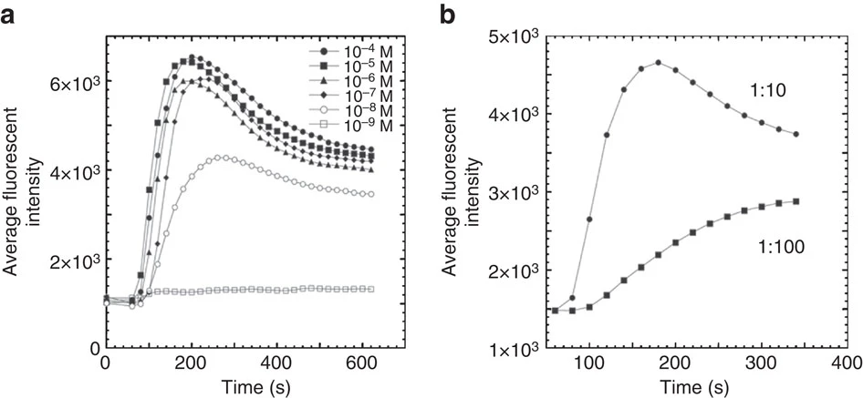 范德华力：三种类型、影响因素及其在材料科学中的作用