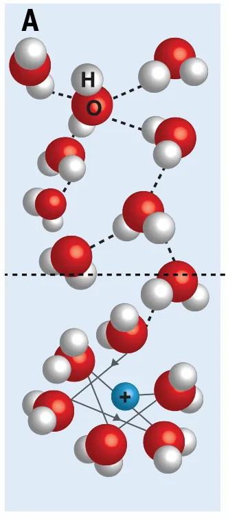 氢键学习指南：定义、分类、量化公式一站式掌握