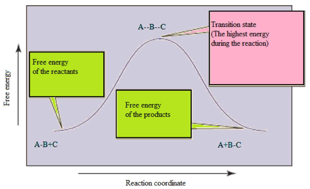 什么是活化能、能垒？概念、计算方法及宏观—微观差异全解析