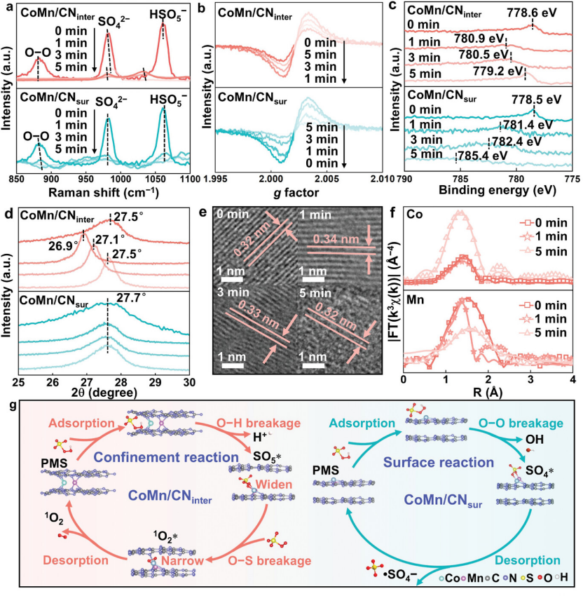 从限域效应到限域催化：催化化学与材料科学交叉领域的核心机制与技术突破