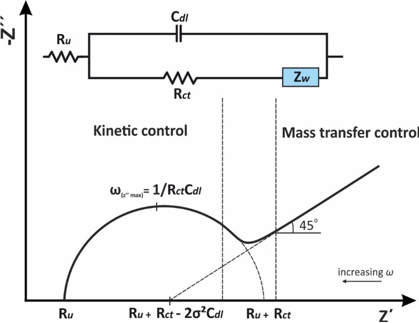 电化学阻抗谱（EIS）解析电荷转移动力学与离子扩散：从Rct到Warburg阻抗的图谱分析
