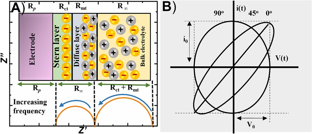 电化学阻抗谱（EIS）解析电荷转移动力学与离子扩散：从Rct到Warburg阻抗的图谱分析