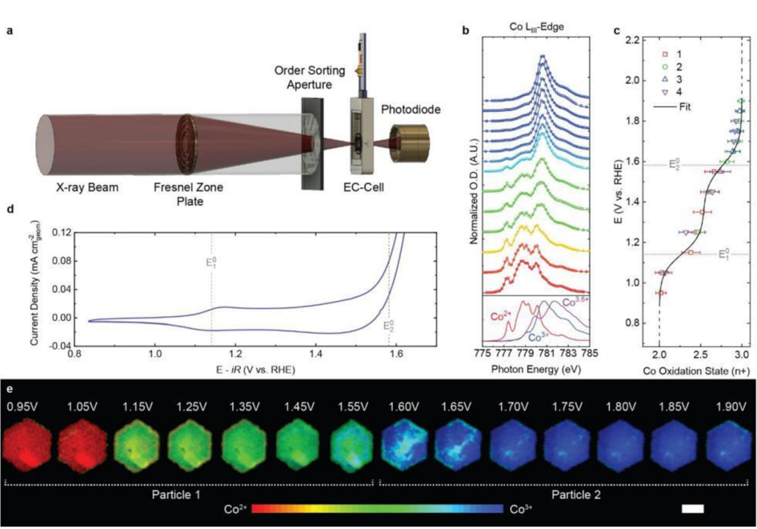 电子局域化全解析：概念、实现策略、表征技术与量化描述符