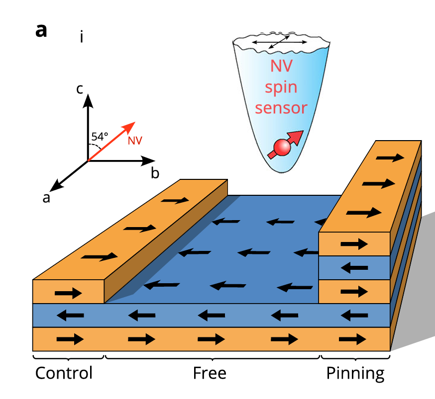 如何调控自旋态？ 原理、方法与应用全解析​