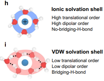 溶剂化效应：机理、相互作用类型及多光谱与散射表征方法