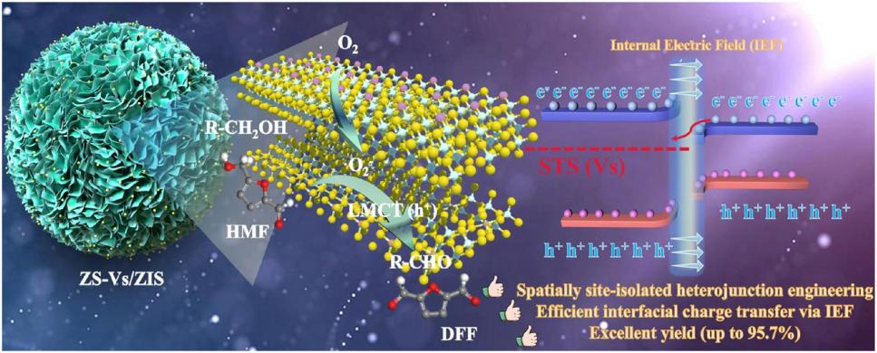 电子局域化全解析：概念、实现策略、表征技术与量化描述符