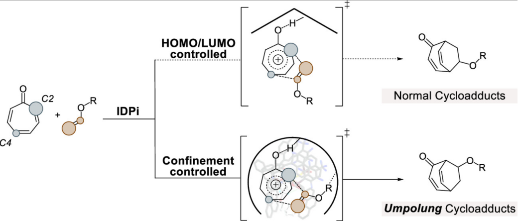 前线轨道理论：基本概念、理论辨析及在均相、非均相与光催化中的实践应用