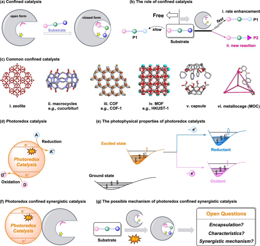 从限域效应到限域催化：催化化学与材料科学交叉领域的核心机制与技术突破