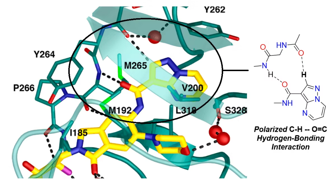 氢键学习指南：定义、分类、量化公式一站式掌握
