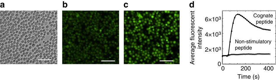 范德华力：三种类型、影响因素及其在材料科学中的作用
